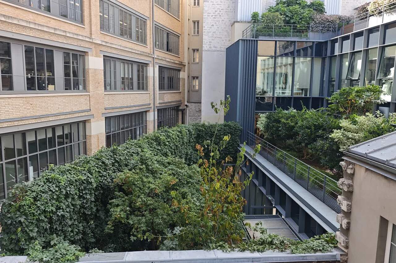 The area/environment